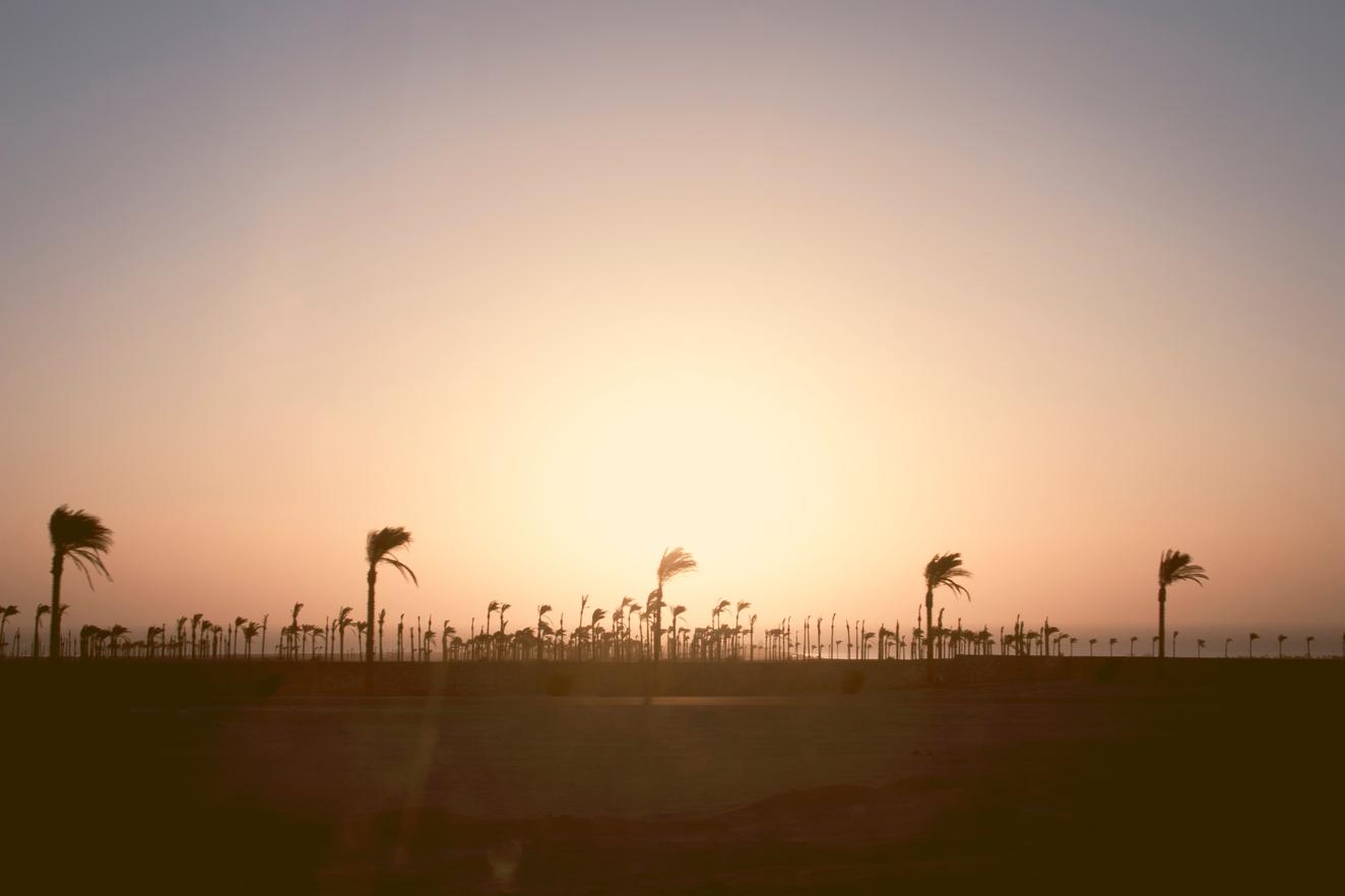 Cumque odit voluptatem deleniti facere sint 3 Ex sequi recusandae alias perferendis dolorem accusantium