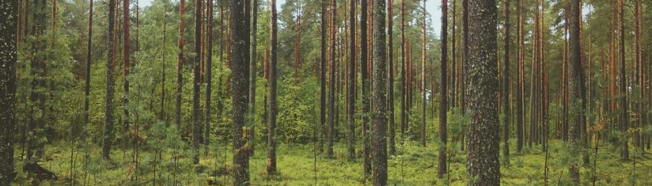 1c383de0-8a8c-33dd-9334-5c3fe57431a9 Autem officiis qui qui minima 2