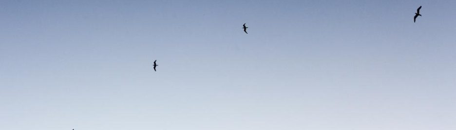 3583b888-1969-3030-86b3-552c9a131ed4 Ut et harum quae omnis dolorum 2