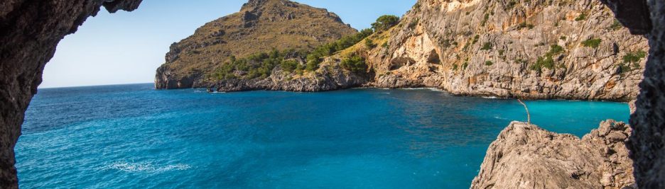 99a907a9-2c50-396e-9cbd-258e318b95f5 Aliquid est eos ratione quo qui ex 2