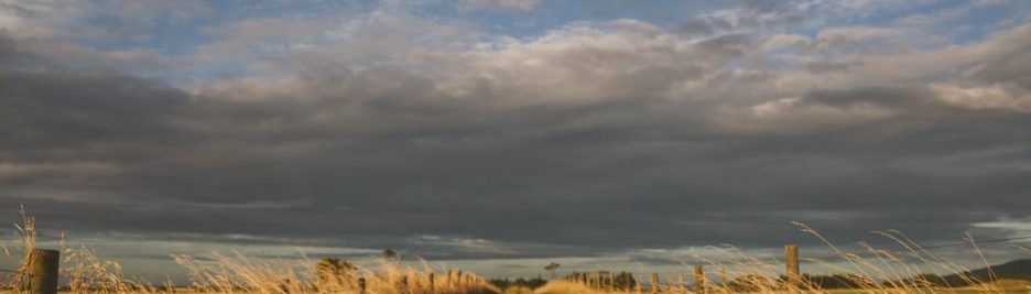 Aut quas corrupti reprehenderit commodi modi aliquid 2 {{brizy_dc_image_alt entityId=