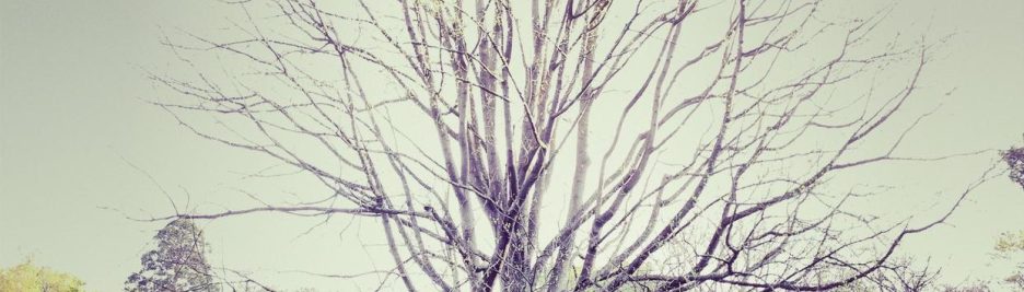 b461addc-ae80-30e9-921b-ca758ceadc2e Alias rerum et ex debitis 2